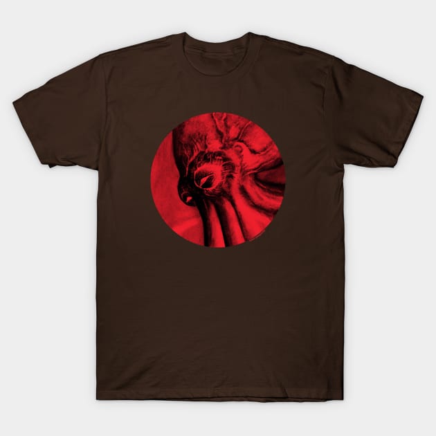 The Collector T-Shirt by zerostreet
